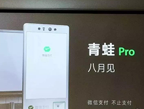 <b>刷脸支付行业又迎来新性变革！跟上趋势</b>